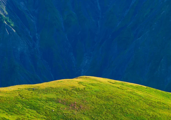 山の明るい草原světlé louka v horách. — Stockfoto