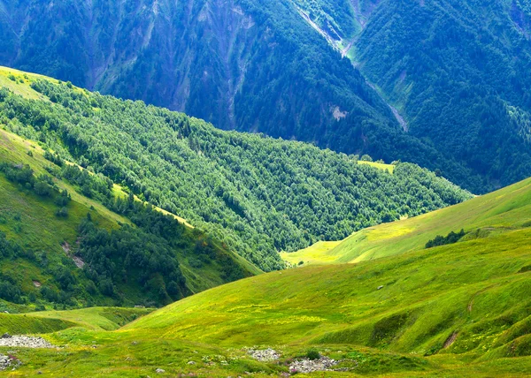 Pré lumineux en montagne . — Photo