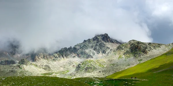 Roche haute dans le nuage . — Photo