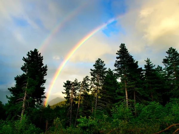 Rainbow on wood. — Stock Photo, Image