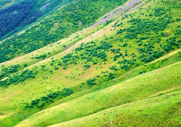 Zielone wzgórze w górskiej dolinie. — Zdjęcie stockowe