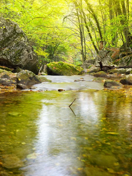 Řeka mezi podzimní dřevo. — Stock fotografie