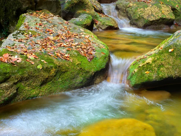 Rzeka wśród drewno jesień. — Zdjęcie stockowe