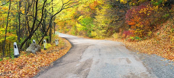 Estrada em madeira de outono . — Fotografia de Stock