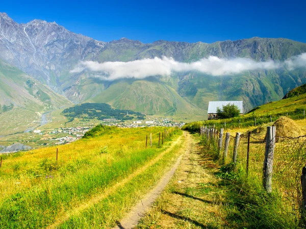 Promenade au milieu de l'herbe dans la vallée de montagne . — Photo