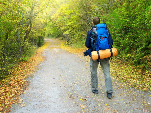 Turista vai ao longo da estrada na floresta de outono brilhante — Fotografia de Stock