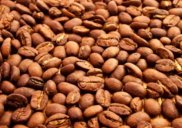 Fresh coffee grain. — Stock Photo, Image