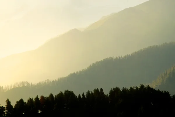 Vallée de montagne lumineuse au coucher du soleil . — Photo
