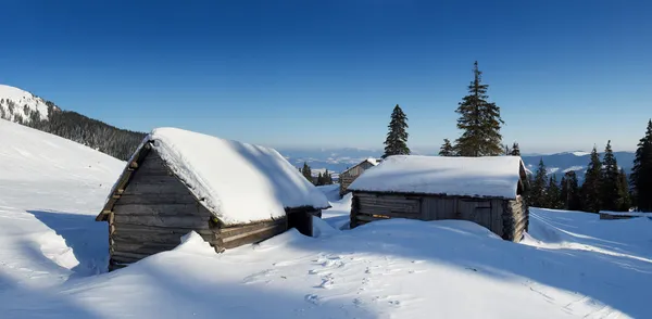 Haus im Wald. schöne Landschaft — Stockfoto