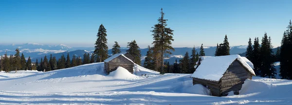 Maison dans la forêt. Beau paysage — Photo