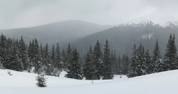 Forêt et montagne en hiver. Paysage hivernal naturel — Photo