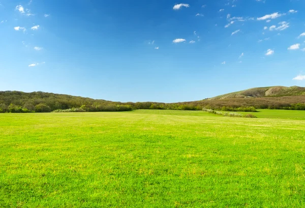 Green meadow in mountain valley — Stock Photo, Image