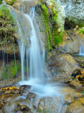 şelale ve yeşil yosun taş