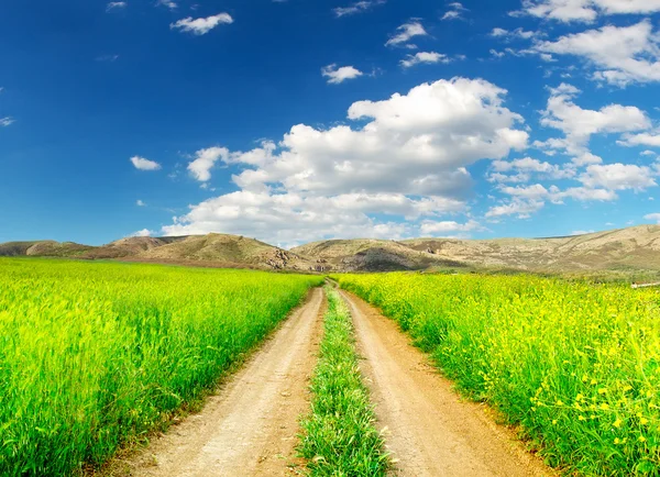 Road on green meadow — Stock Photo, Image