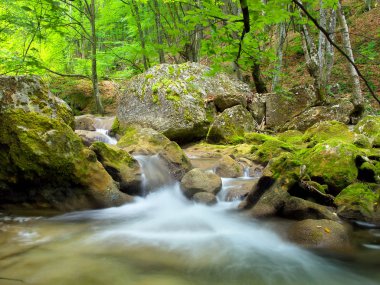 hızlı dere ve şelale taşlar arasında
