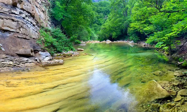 Großer See im Wald. — Stockfoto