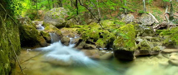 Szybko creek i wodospad wśród kamieni — Zdjęcie stockowe