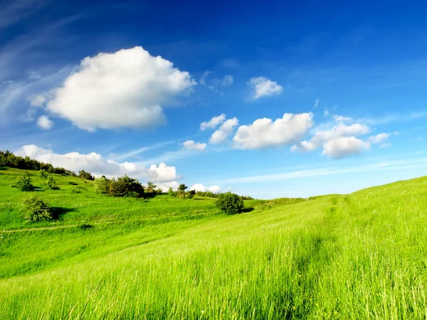 Prato e cielo nuvoloso. — Foto Stock