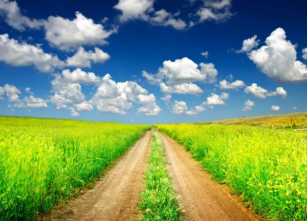 Landstraße auf dem Feld. — Stockfoto