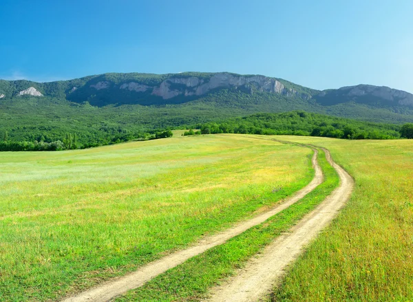 Strada rurale sul campo . — Foto Stock