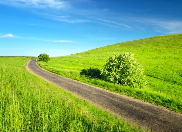 Rural road on the field. — Stock Photo, Image