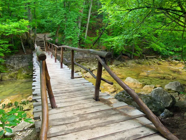 Parlak ormanda köprü — Stok fotoğraf