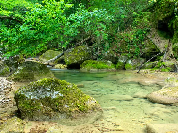 Pedras e riacho na floresta verde brilhante — Fotografia de Stock