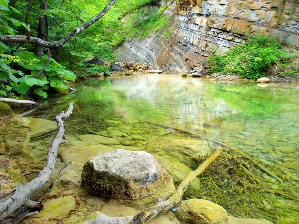 Stones and creek in bright green forest — Stock Photo, Image