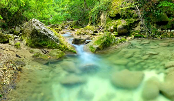 Stones and creek in bright green forest — Stock Photo, Image