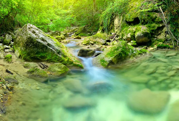 Pedras e riacho na floresta verde brilhante — Fotografia de Stock