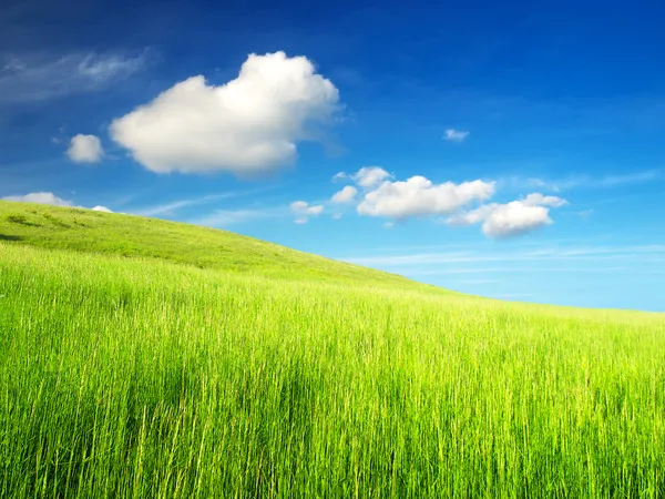 Scène rurale avec herbe et nuages — Photo