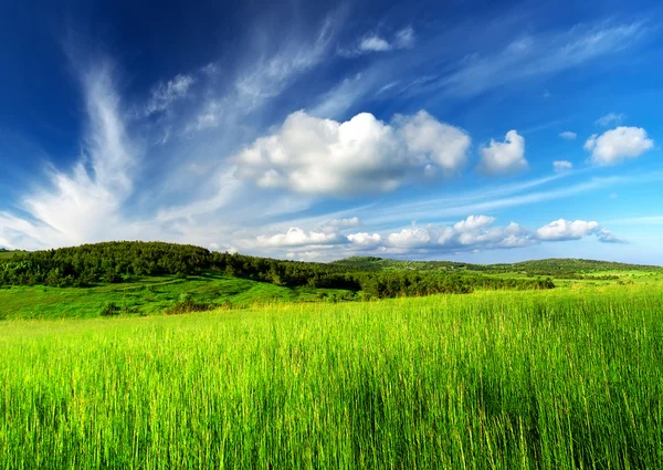 Cena rural com grama e nuvens — Fotografia de Stock