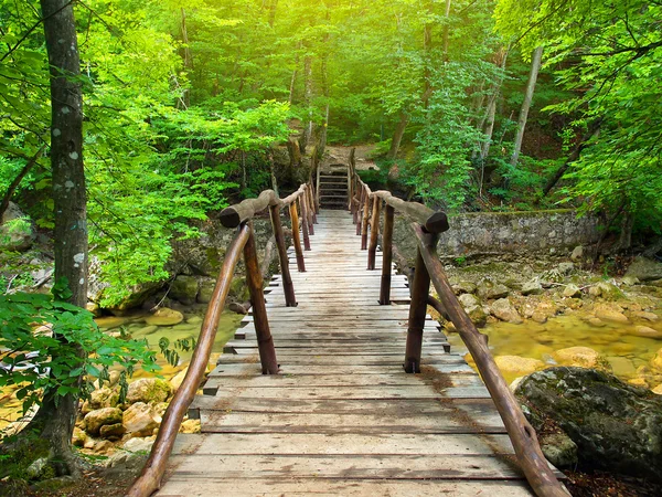 Мост в светлом лесу — стоковое фото