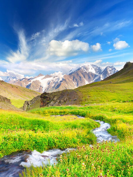 Река на лугу в горной долине
