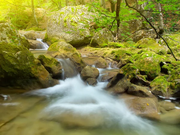 Río profundo en el bosque de montaña —  Fotos de Stock