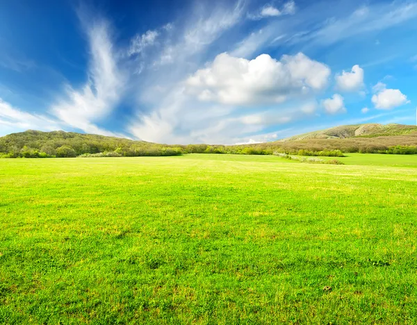 Meadow and sky with bright clouds — Stock Photo, Image