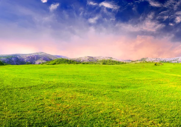 Prado e céu com nuvens brilhantes — Fotografia de Stock