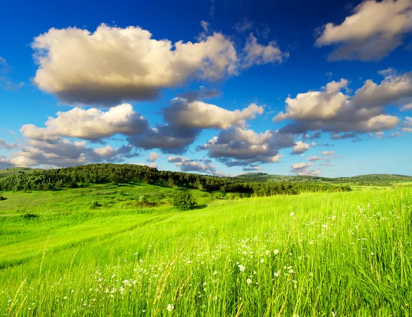 Prado e céu com nuvens brilhantes — Fotografia de Stock