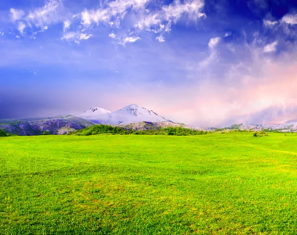 Meadow and sky with bright clouds — Stock Photo, Image