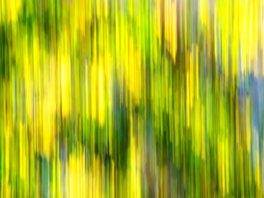 arka plan olarak kullanılan soyut çizgiler