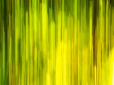 arka plan olarak kullanılan soyut çizgiler