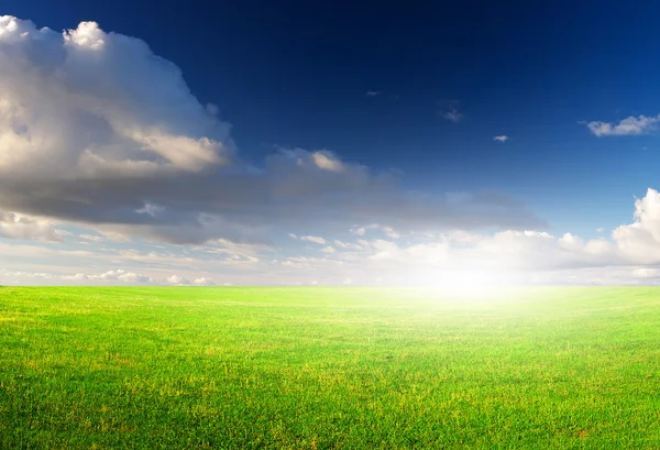 Field and cloudy sky — Stock Photo, Image