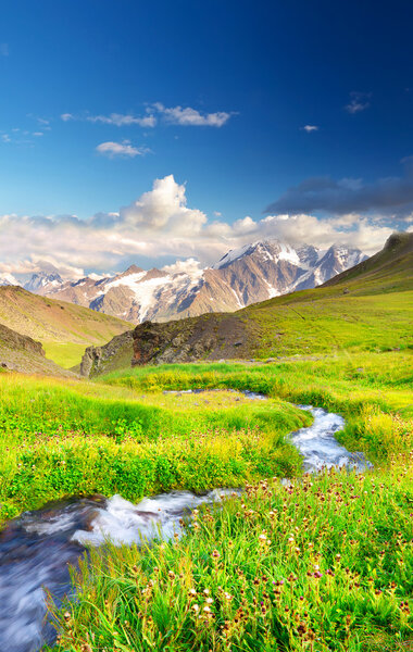 Река на лугу
