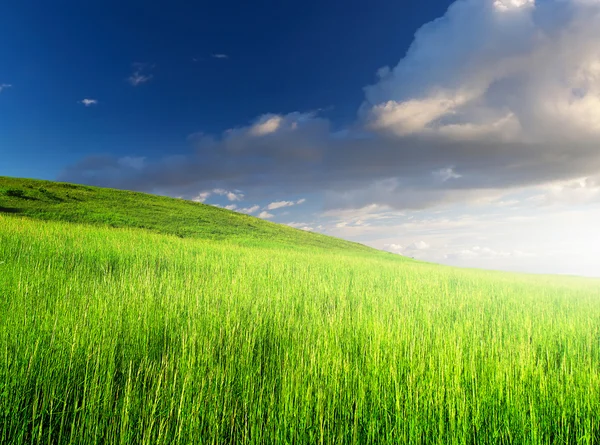 Hermoso paisaje — Foto de Stock