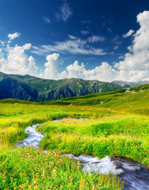 River mountain alanında.