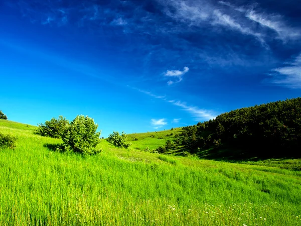 Collines vertes et ciel nuageux . — Photo