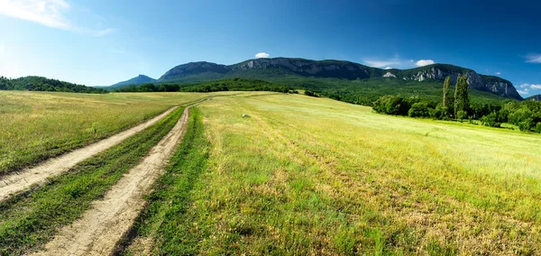 Schöne Sommerlandschaft — Stockfoto