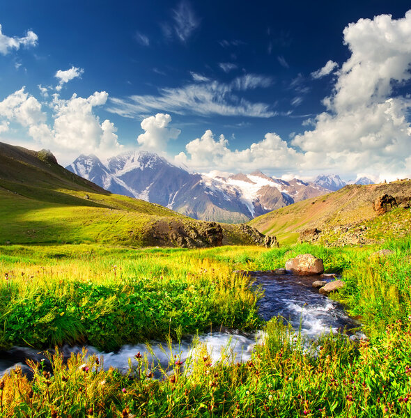 река на зеленом лугу
