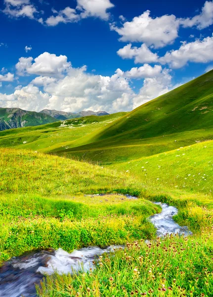 River on green meadow — Stock Photo, Image