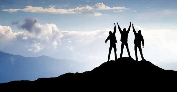 Winners team on the mountain top Royalty Free Stock Images